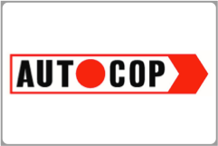 Autocop India